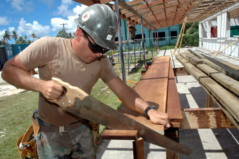 charpentier-DALUIS-min_worker_construction_building_carpenter_male_job_build_helmet-893290